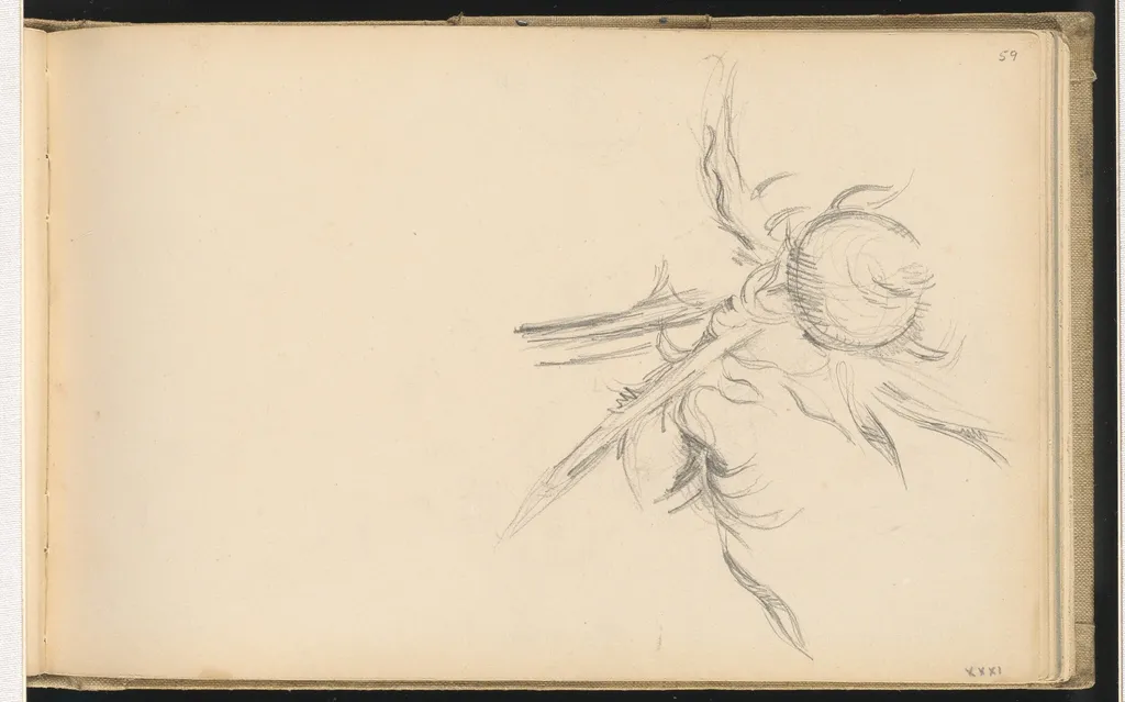 Thistle, by Paul Cezanne, graphite, 1894