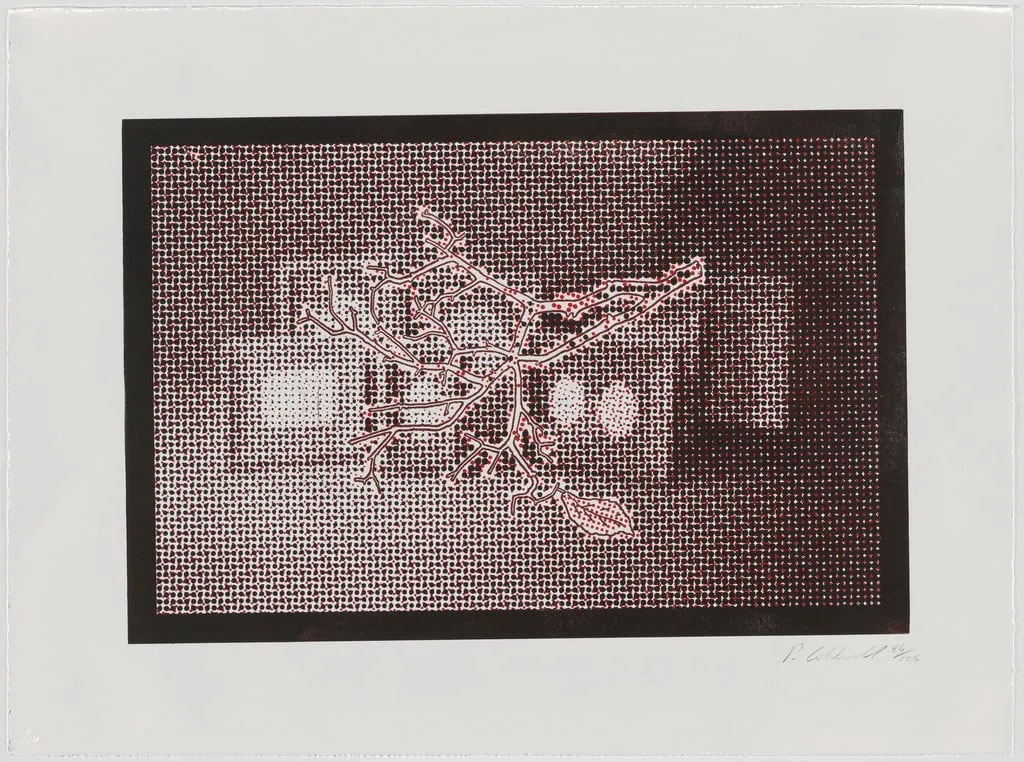 Untitled, by Paul Coldwell, ink, 2018