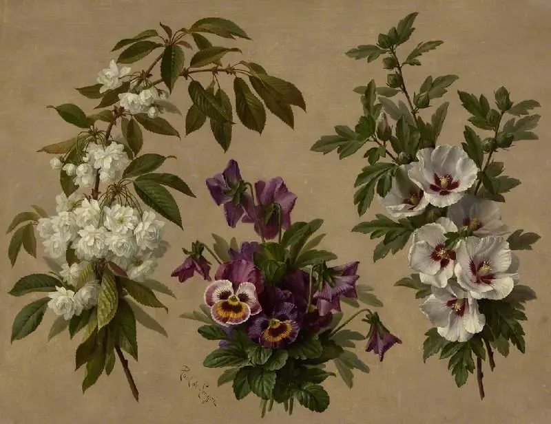Three flower and shrub plants, by Paul de Longprè