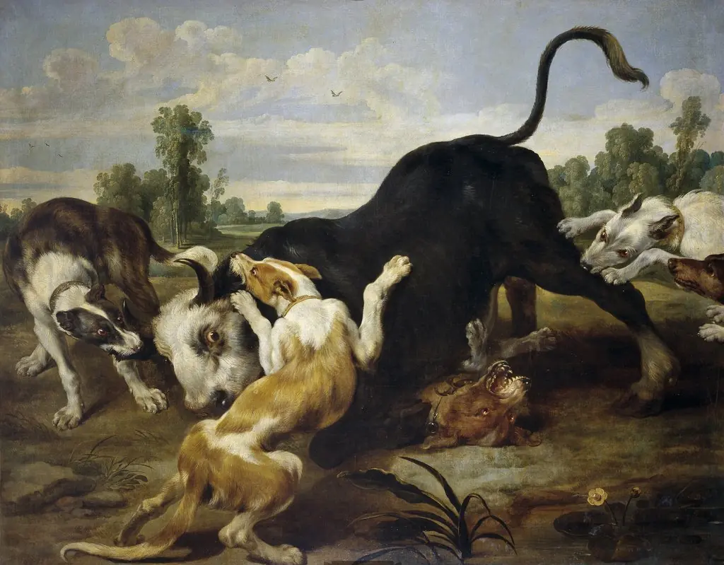 A Bull torn apart by Dogs, by Paul de Vos