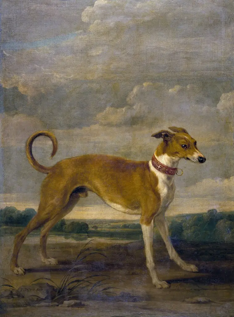 A dog, by Paul de Vos