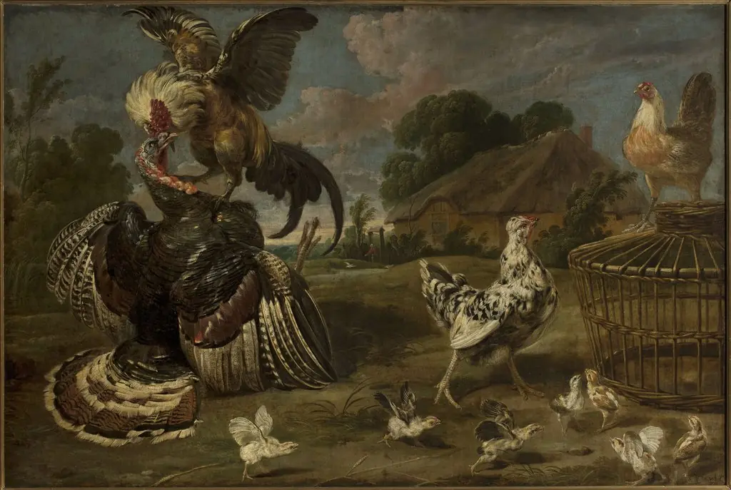 A turkey and a rooster, by Paul de Vos