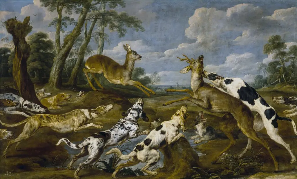 Deer hunt