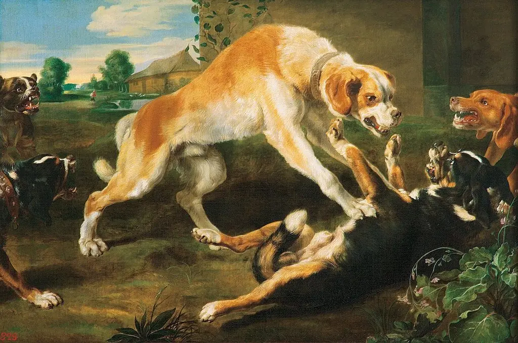 Fighting Dogs, by Paul de Vos