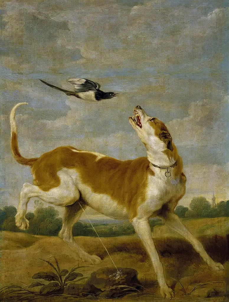 The dog and the magpie, by Paul de Vos