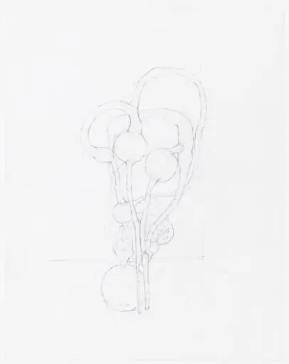 Untitled, by Paul Etienne Lincoln
