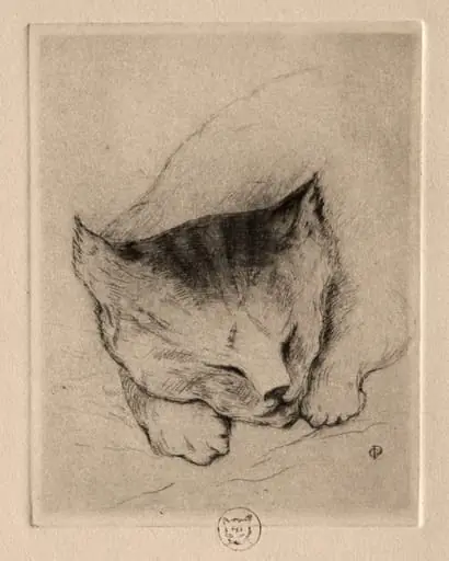 Six Etchings: Head of a Kitten, by Paul Gachet