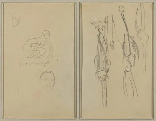 Crouching Monkey and Man's Head; Bones and Muscles [verso], by Paul Gauguin