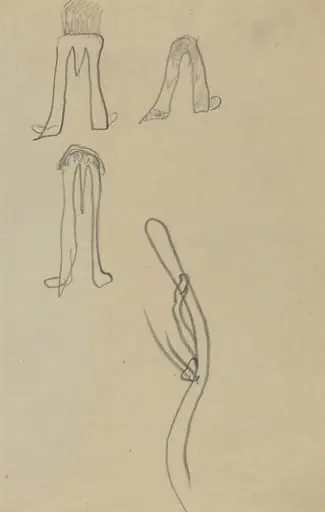 Four Fantastic Forms [recto], by Paul Gauguin