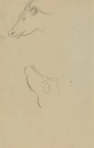 Head of a Cow [recto], by Paul Gauguin