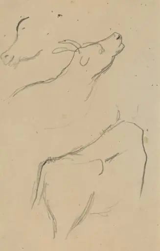 Studies of a Cow [verso], by Paul Gauguin