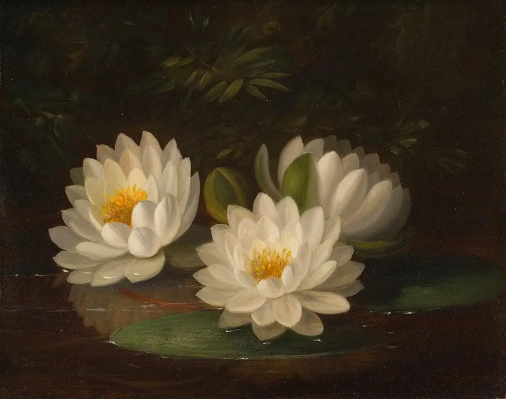 Water Lilies, by Paul Lacroix