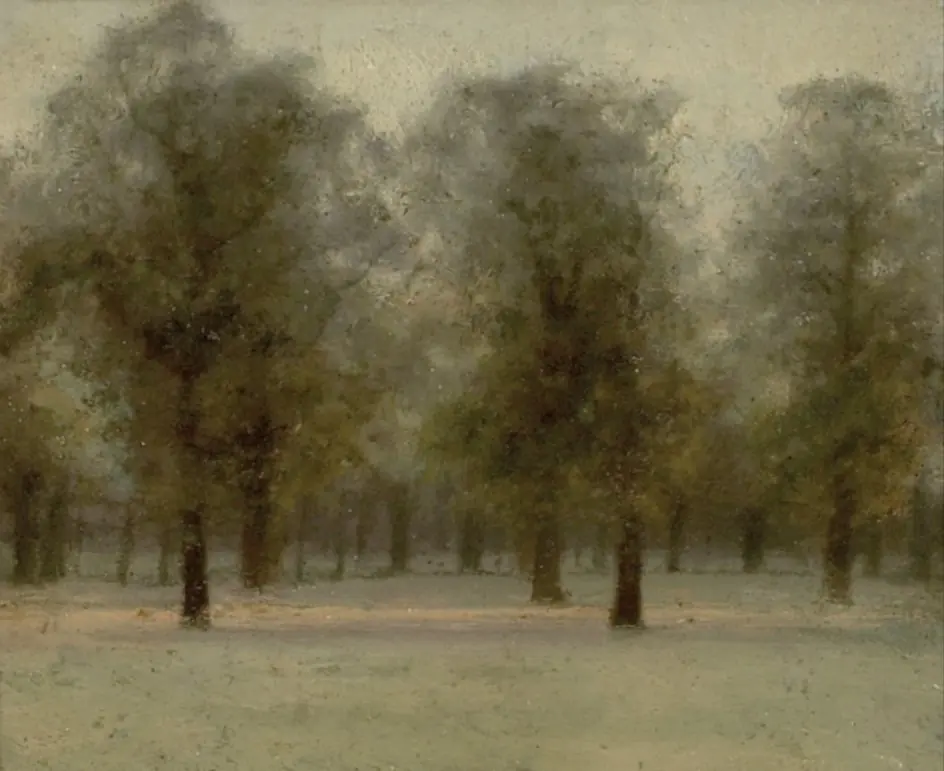 Beech Trees at Sunset, Kensington Gardens, by Paul Maitland