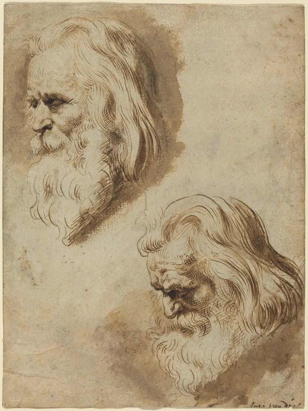 Two Studies of an Elderly Man's Head, by Paulus Pontius, ink, 1630