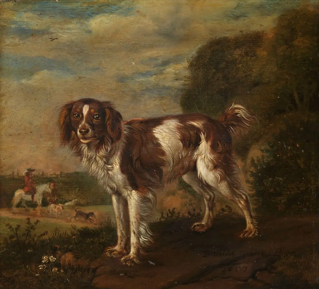 A spaniel, by Paulus Potter