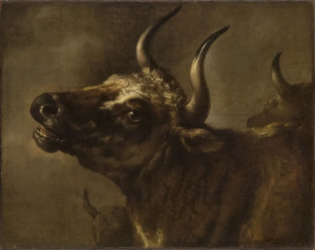 Bellowing Bull, by Paulus Potter, oil, 1650