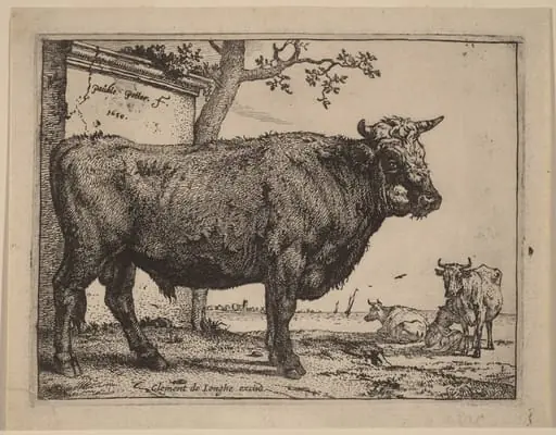 Bull, by Paulus Potter