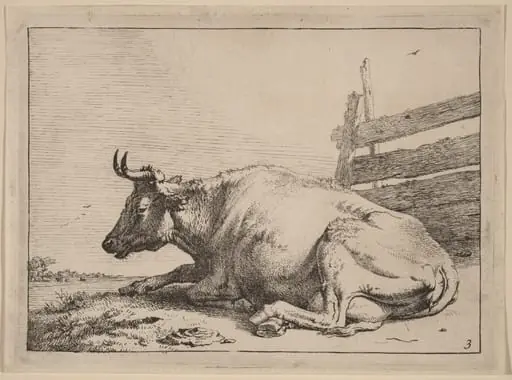 Cow Lying Down near a Fence, by Paulus Potter