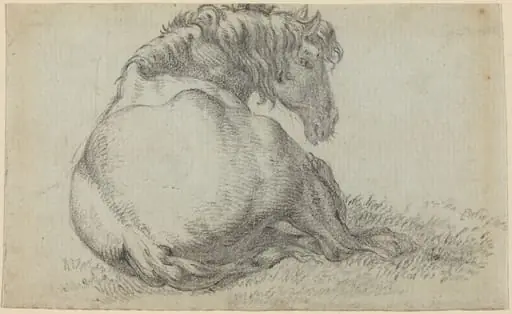 Resting Horse, by Paulus Potter