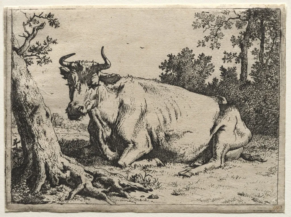 The cow lying down near a tree, by Paulus Potter, 1649
