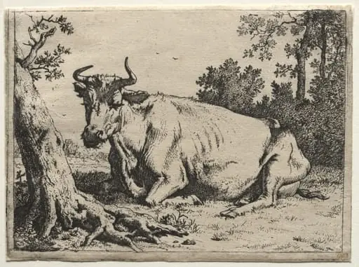 The cow lying down near a tree, by Paulus Potter