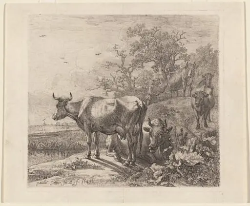 The Cowherd, by Paulus Potter