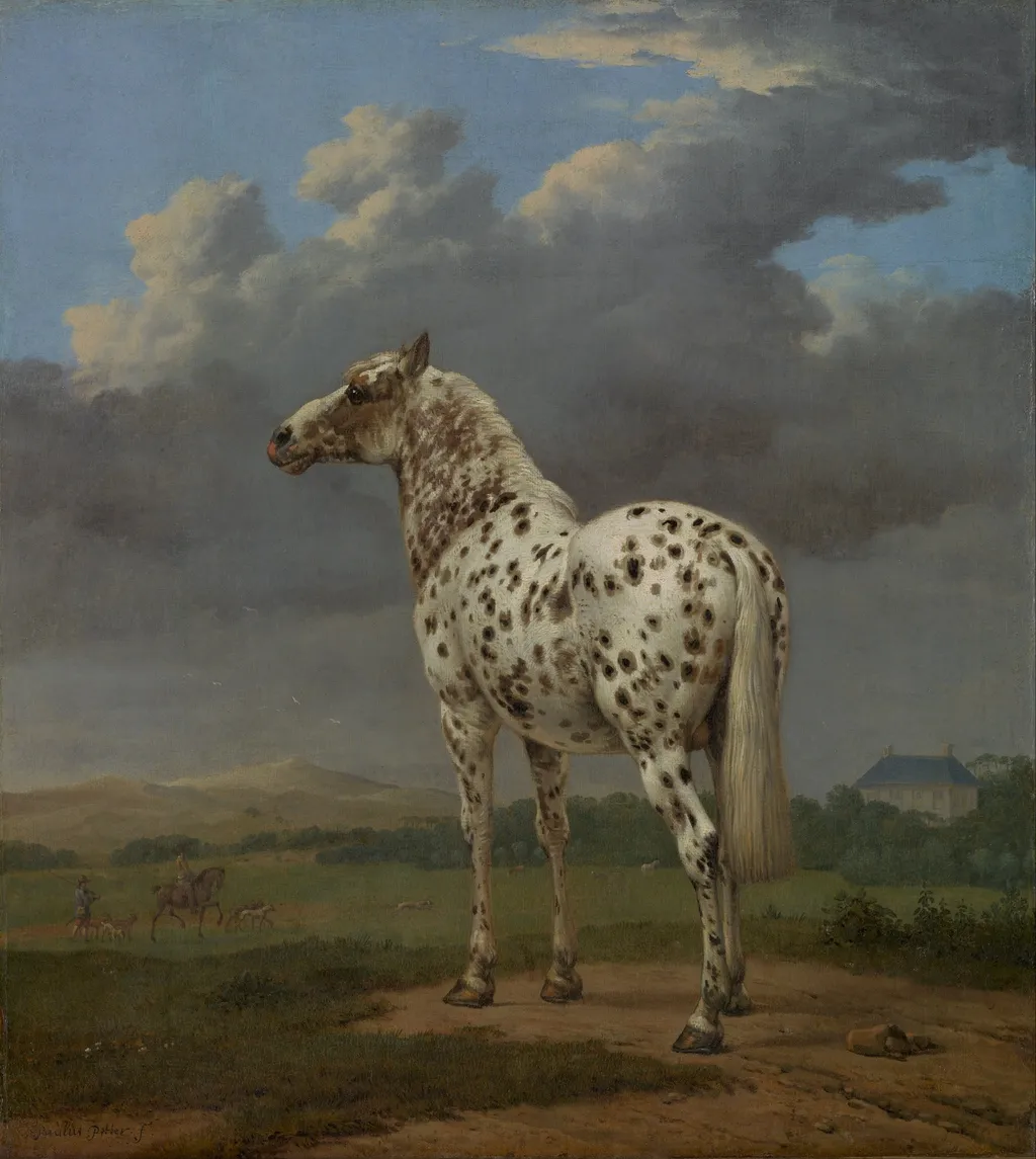 The "Piebald" Horse, by Paulus Potter, oil, 1652