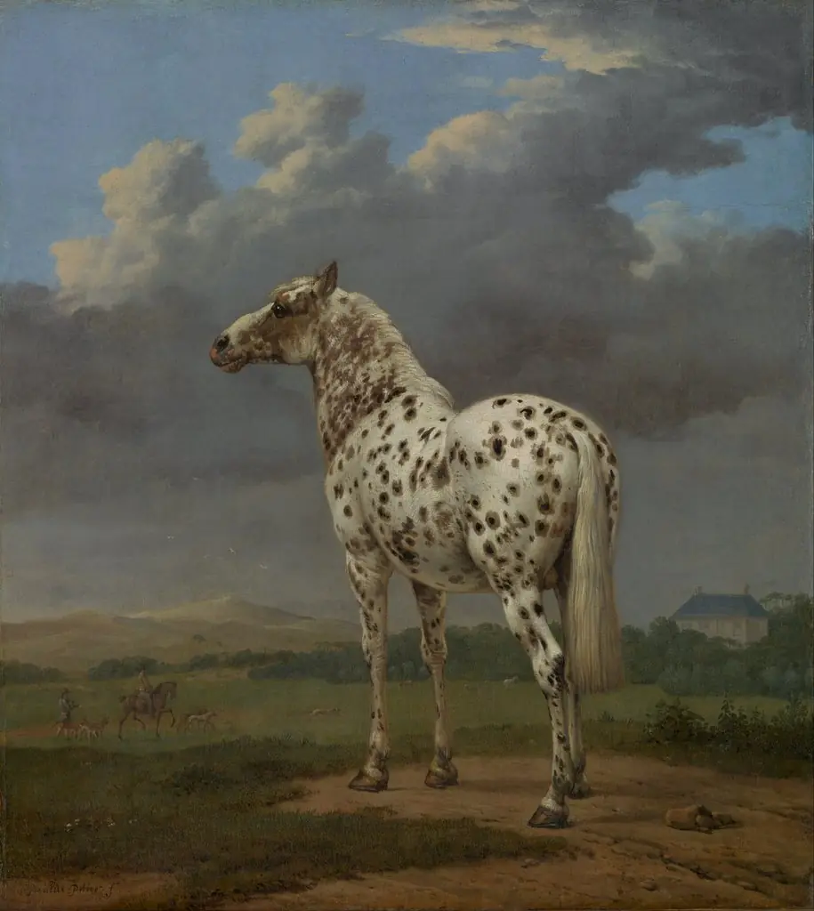 The "Piebald" Horse, by Paulus Potter