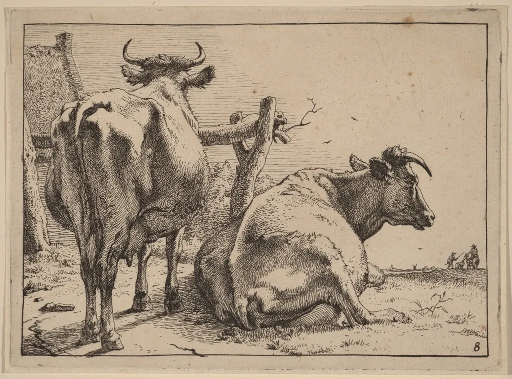 Two Cows Seen from Behind, by Paulus Potter, ink, 1650