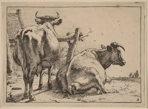 Two Cows Seen from Behind, by Paulus Potter