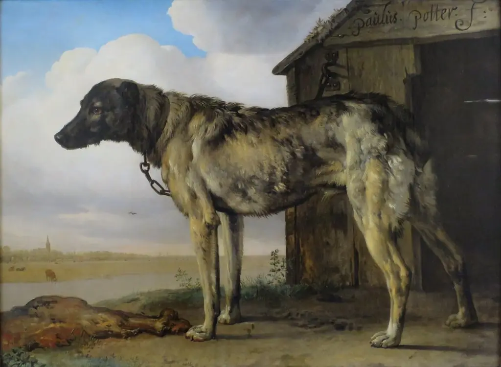 Wolf-Hound, by Paulus Potter