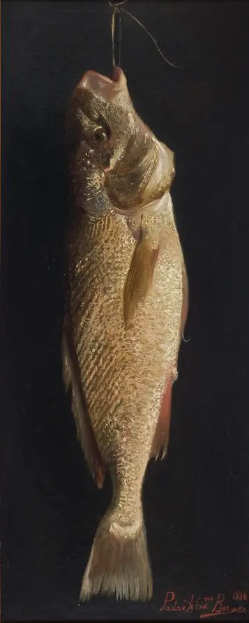 Fish