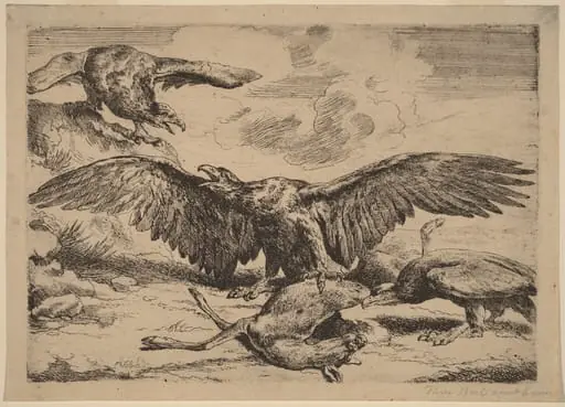Eagles, by Peeter Boel
