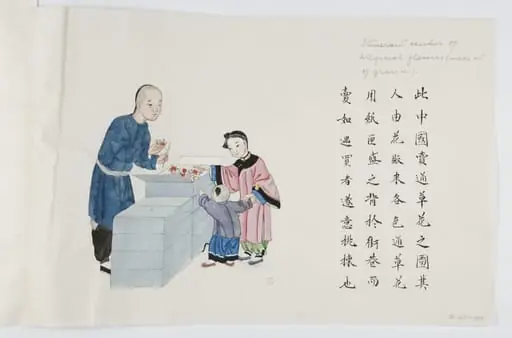 Itinerant vendor of artificial flowers, by Peichun Zhou