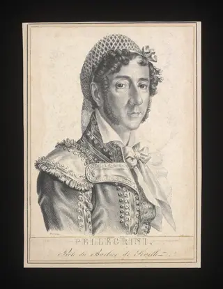 Pellegrini