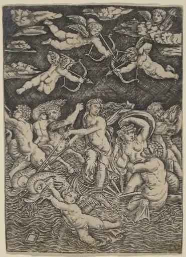 The Triumph of Galatea, by Peregrino da Cesena