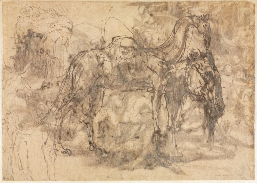 Sketches of Animals (verso), by Perino del Vaga, 1546
