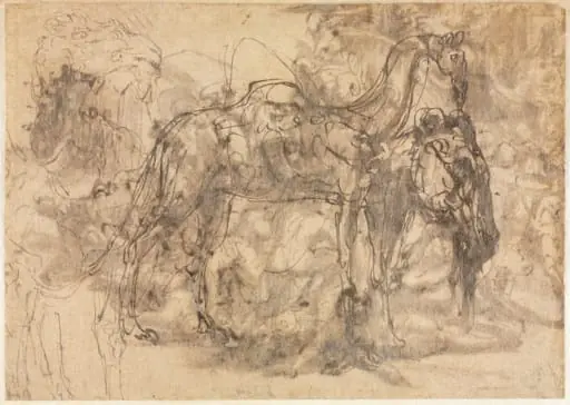 Sketches of Animals (verso), by Perino del Vaga