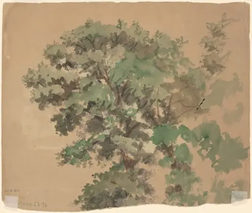 Tree [verso], by Perry, Enoch Wood, Jr.