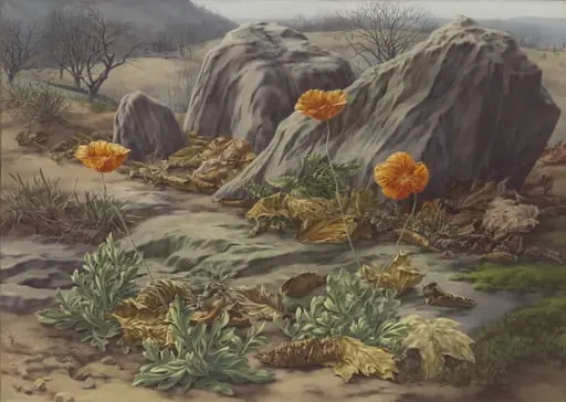 Untitled, by Peter Blume