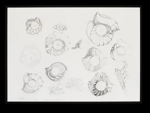 Contribution to V&A's 150th anniversary album, by Peter Chang