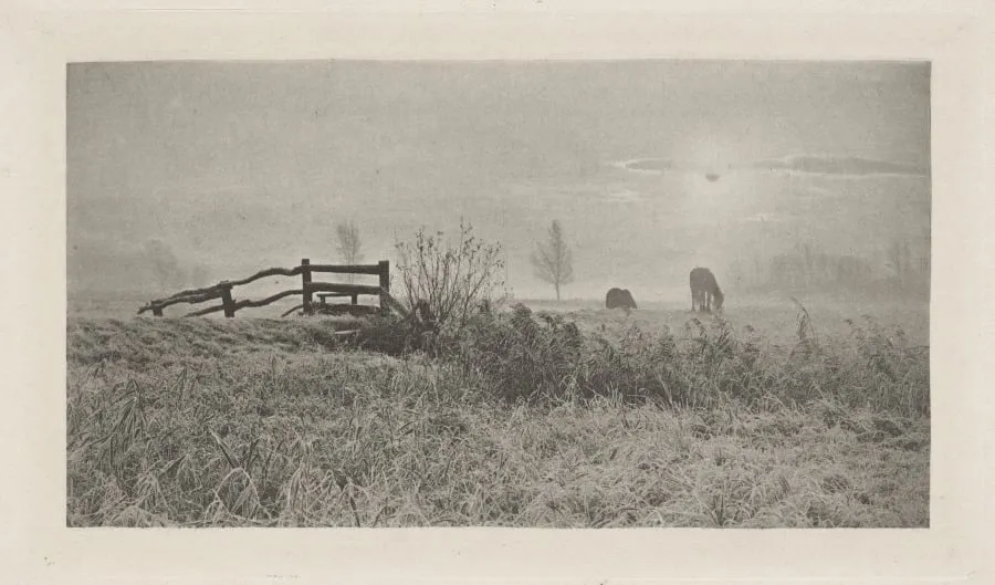 A Winter's Sunrise, by Peter Henry Emerson, 1891