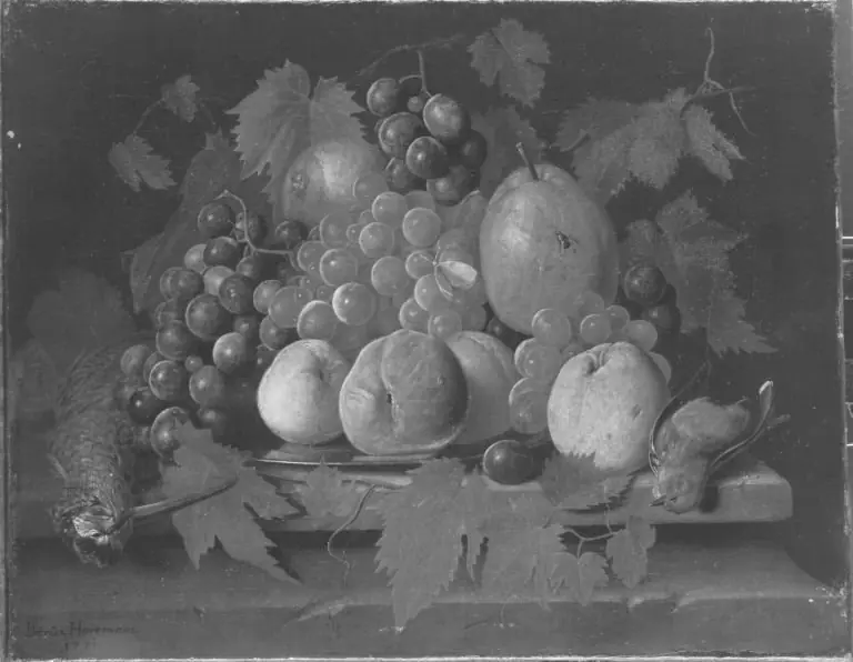 Stillleben mit Früchten und toten Vögeln, by Peter Jacob Horemans