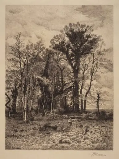 The Edge of the Swamp, by Peter Moran