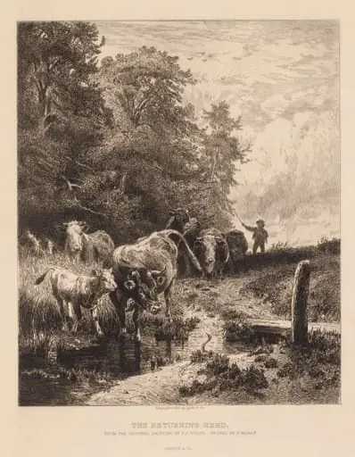 The Returning Herd, by Peter Moran