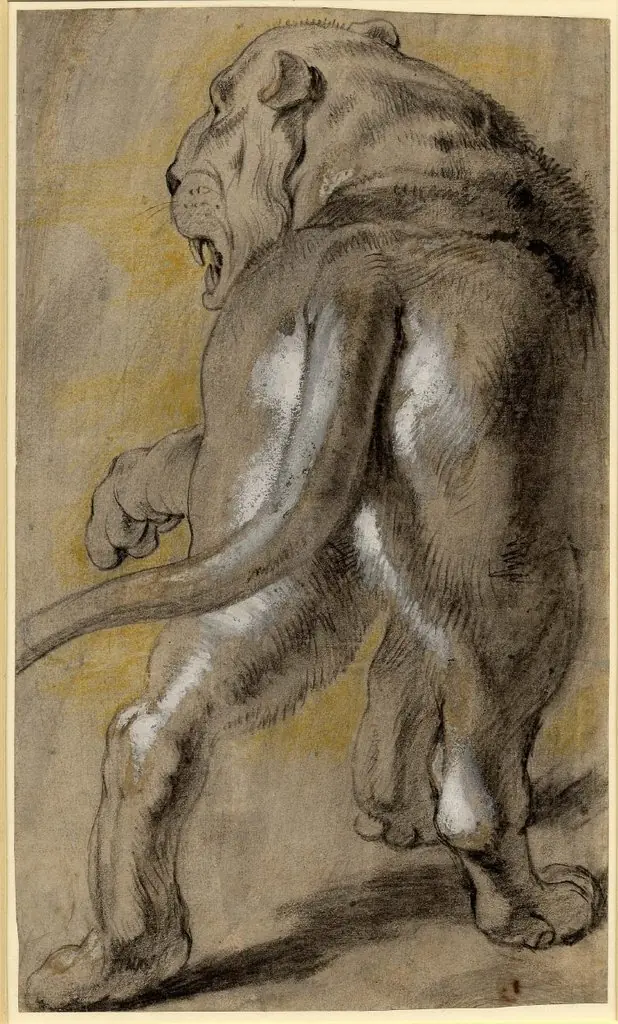 Lion