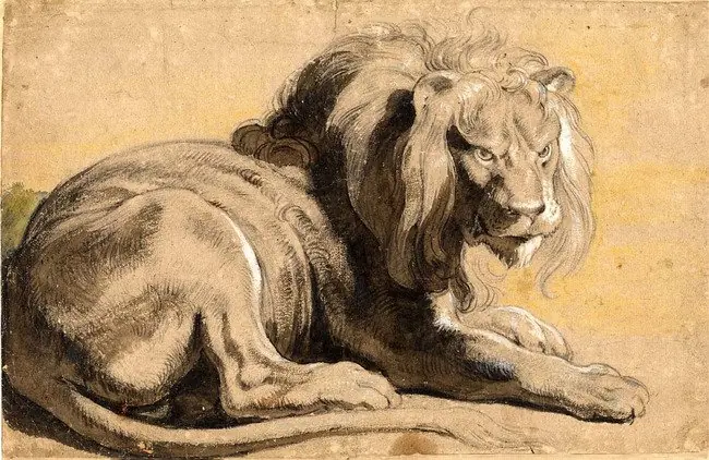 Lion
