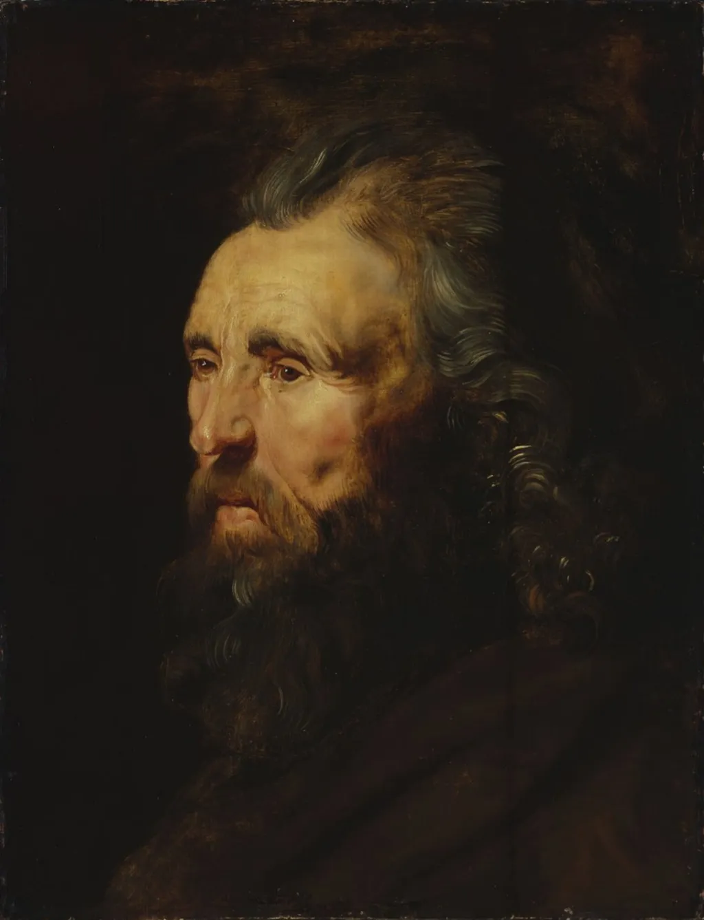 Study of a Man's Head, by Peter Paul Rubens, oil, 1616
