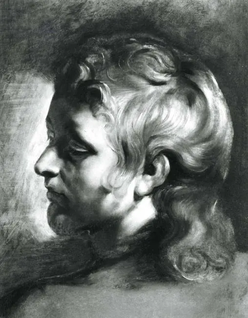 Study of the head of a young man turned to the left, 1611-1612, by Peter Paul Rubens