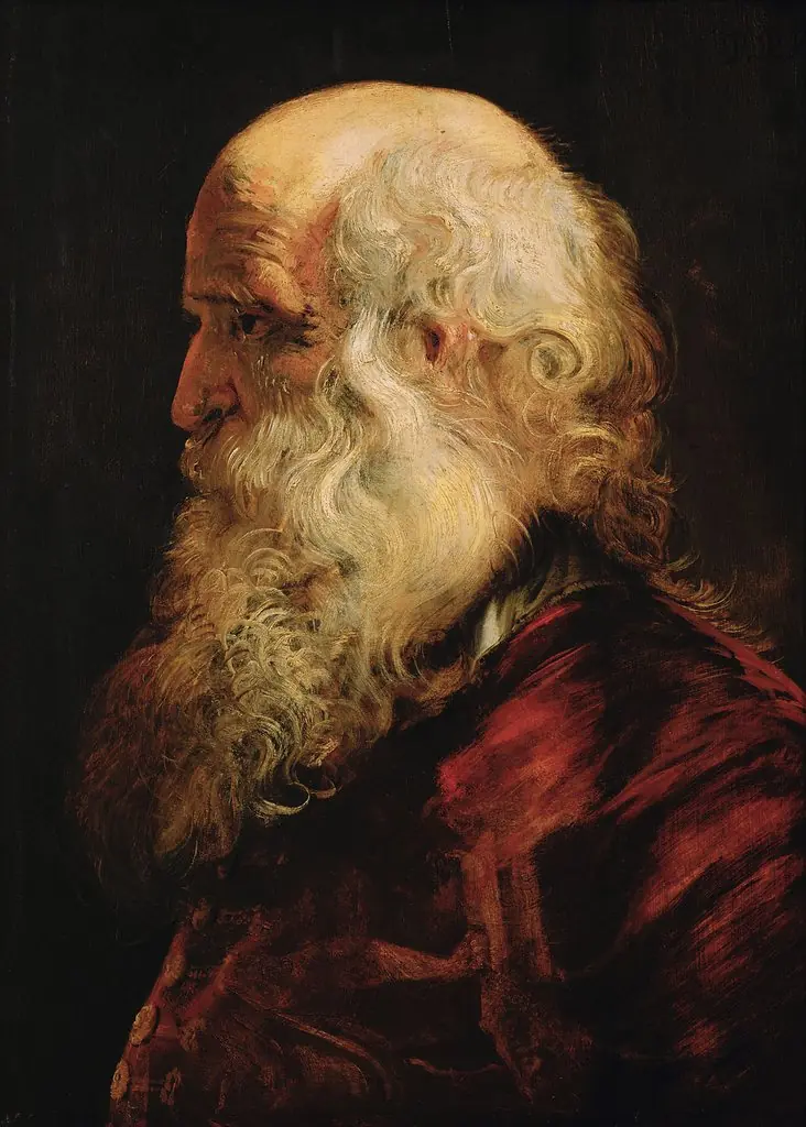 Study of the Head of an Old Man, by Peter Paul Rubens